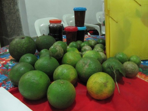 feira de todas as lutas